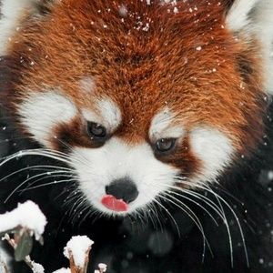 To brighten up your day!💚💛💜🖤